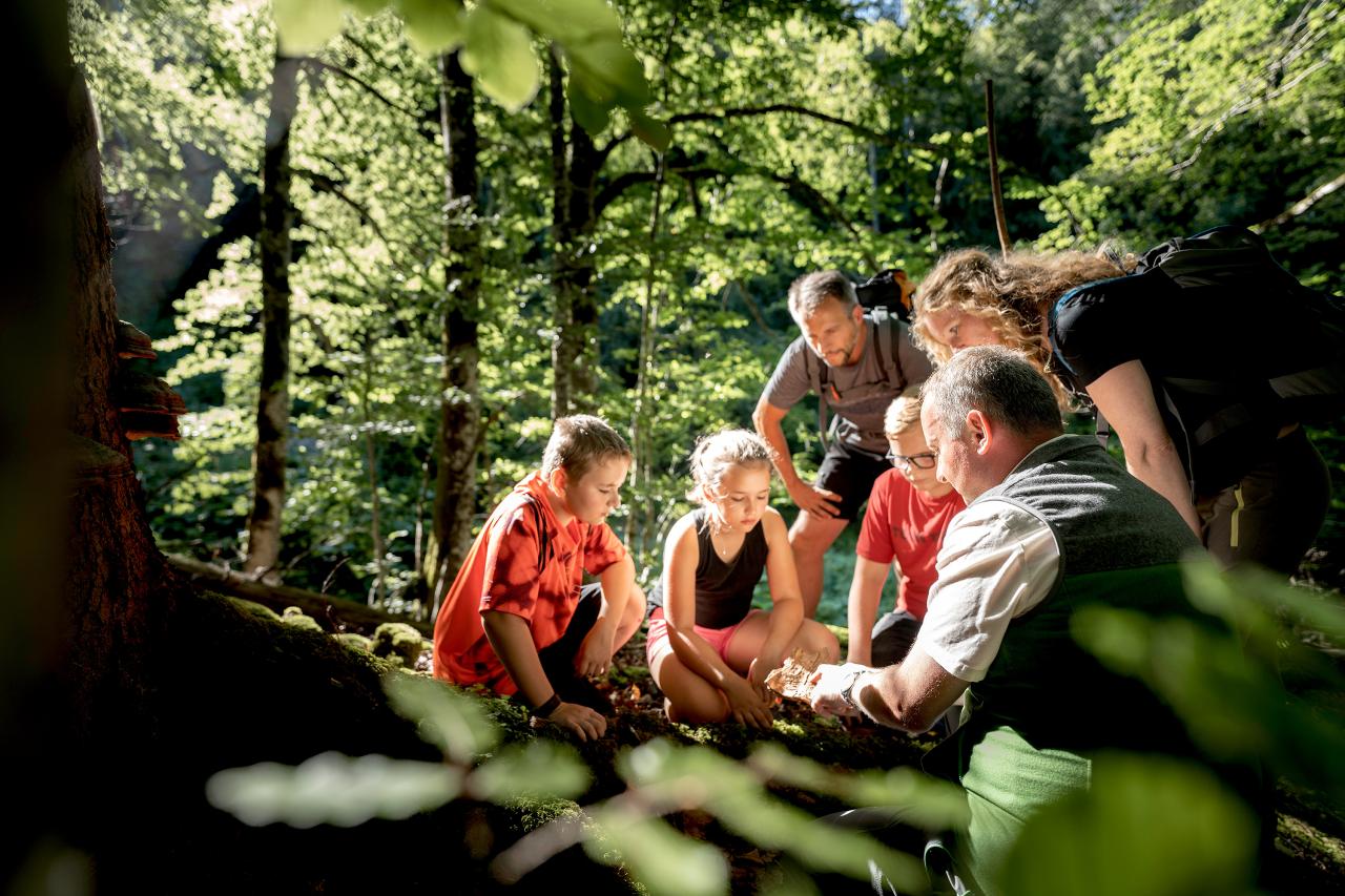 Nationalpark Kalkalpen Rangertour mit Erwachsenen und Kindern im Wald