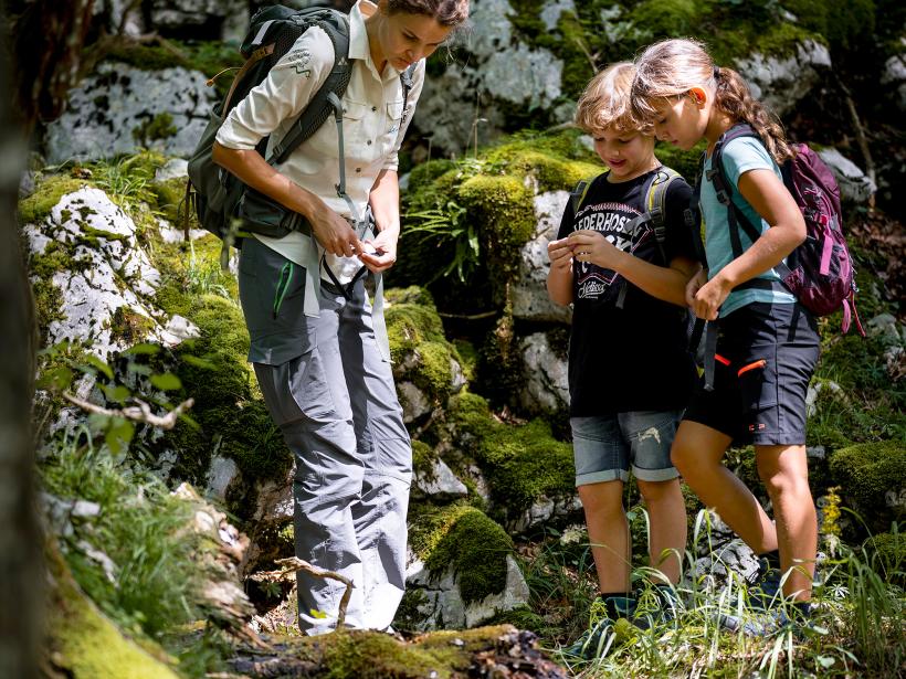 Nationalpark Rangerin und zwei Schulkinder betrachten einen liegenden Totholzstamm