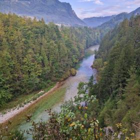 Der Steyr Fluss fließt durch eine mit Wald gesäumte Schlucht
