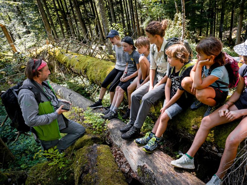 Schulkinder sitzen auf einem bemoosten Baumstamm im Wald und hören Nationalpark Ranger zu