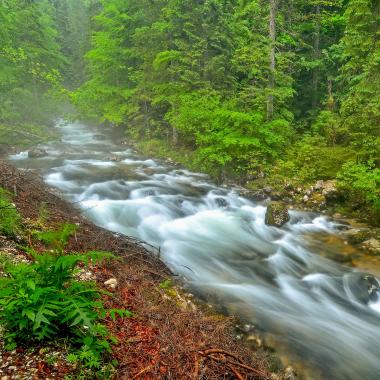 Der Hintere Rettenbach fließt über große Steine, an seinen Ufern steht frühlingsgrüner Wald