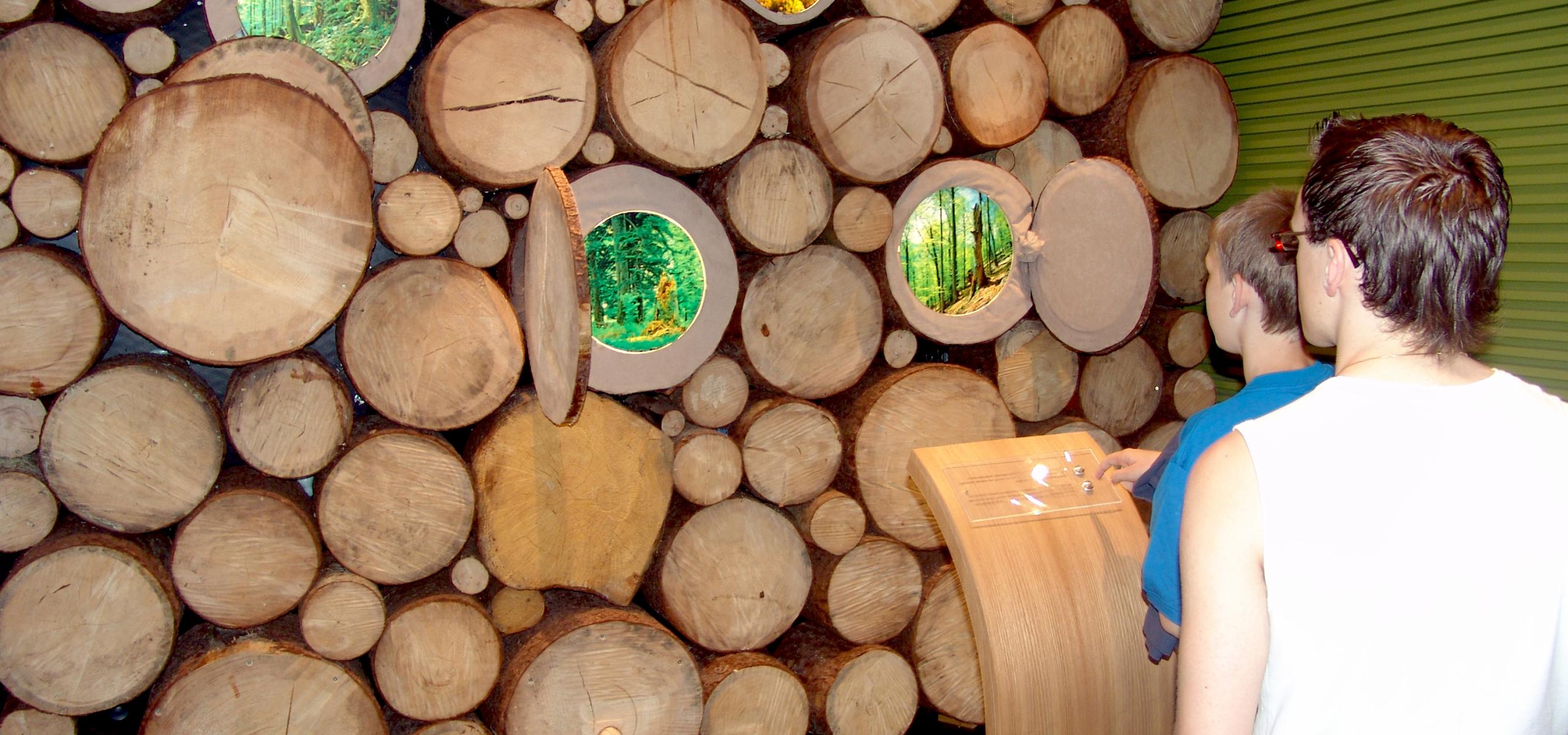 Ausstellungselement zeigt Baumstämme an deren Schnittfläche sich Fenster mit Waldbildern öffnen