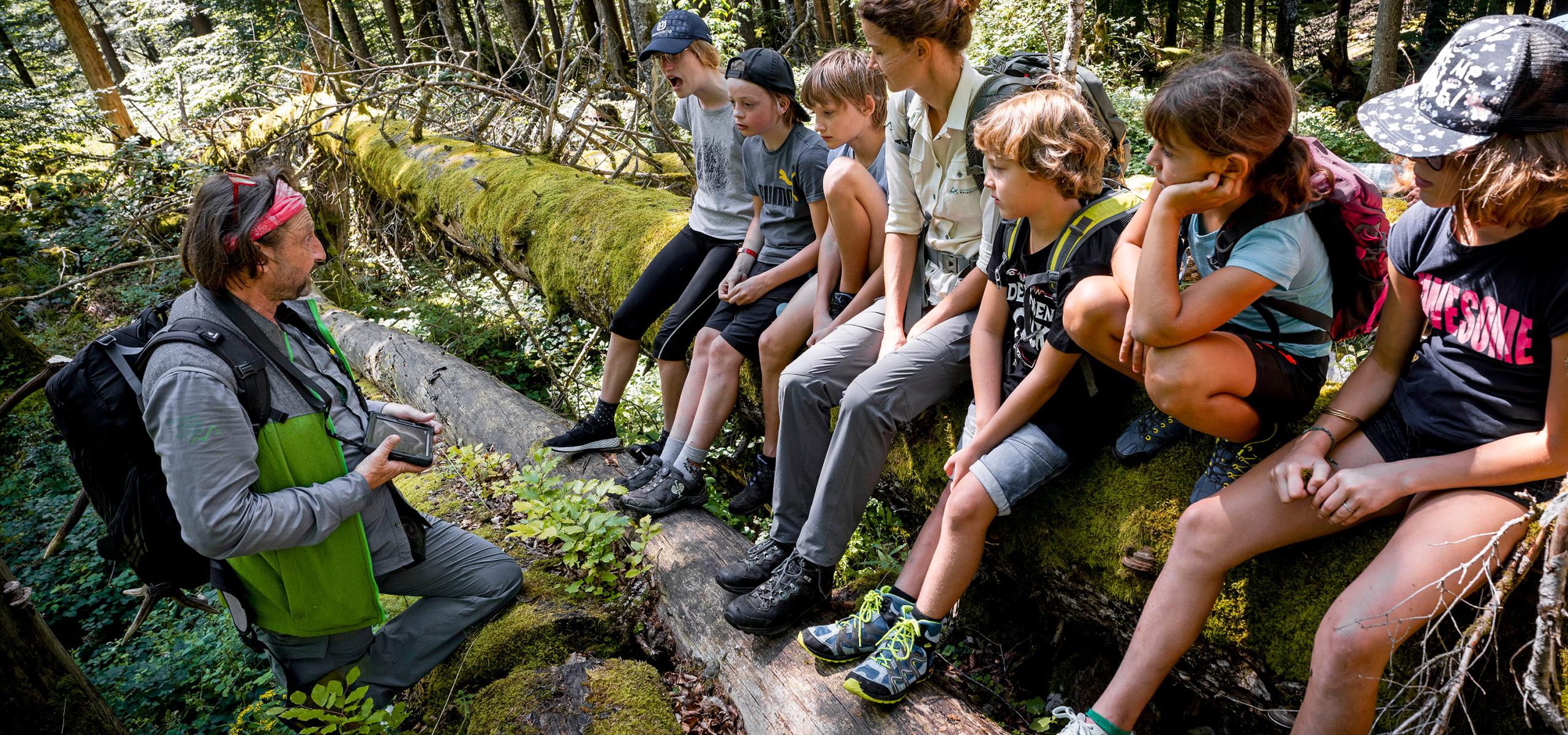Schulkinder sitzen auf einem bemoosten Baumstamm im Wald und hören Nationalpark Ranger zu