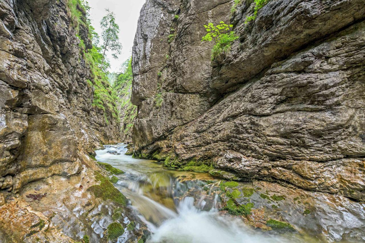 Gebirgsbach drängt sich durch tiefe schmale Felsschlucht