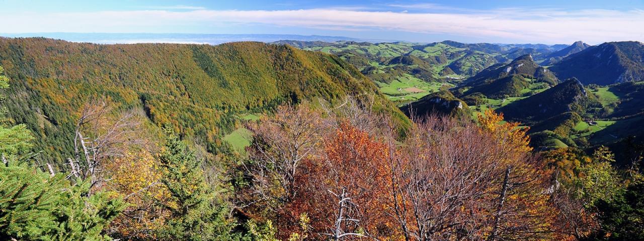 Panoramabild  zeigt über herbstlich gefärbte Bergwälder hinweg in die von Wiesen und Bergen geprägte Nationalpark Region Ennstal