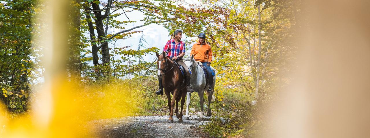 Zwei Männer auf Pferden reiten durch Herbstwald
