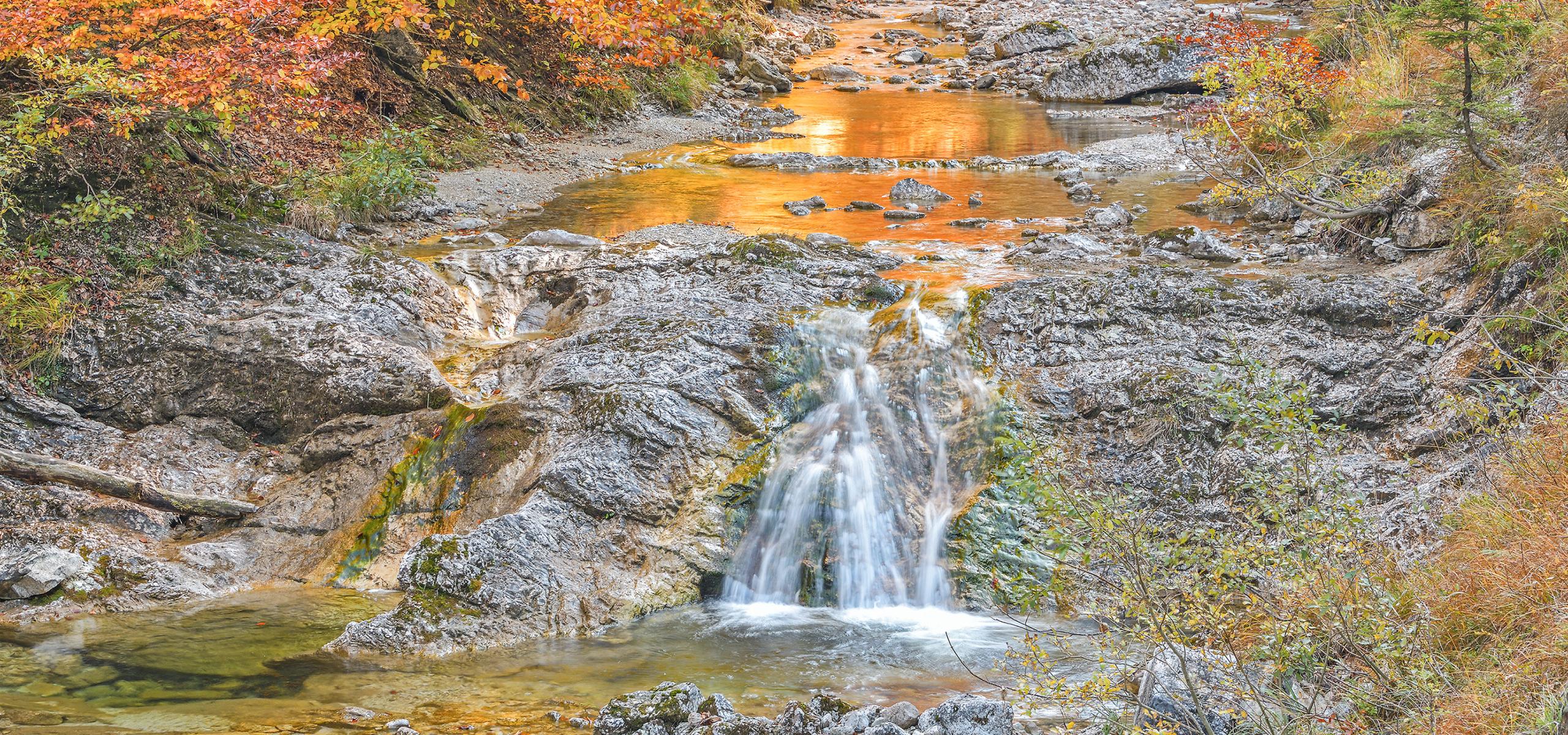 Das bunte Laub spiegelt sich im Oberlauf der Krummen Steyrling im Herbst im Nationalpark Kalkalpen.