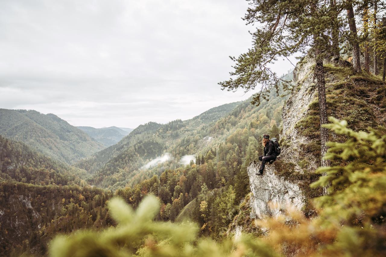 Eine Frau mit Rucksack sitzt auf einem Felsvorsprung und blickt über ausgedehnte Waldlandschaft