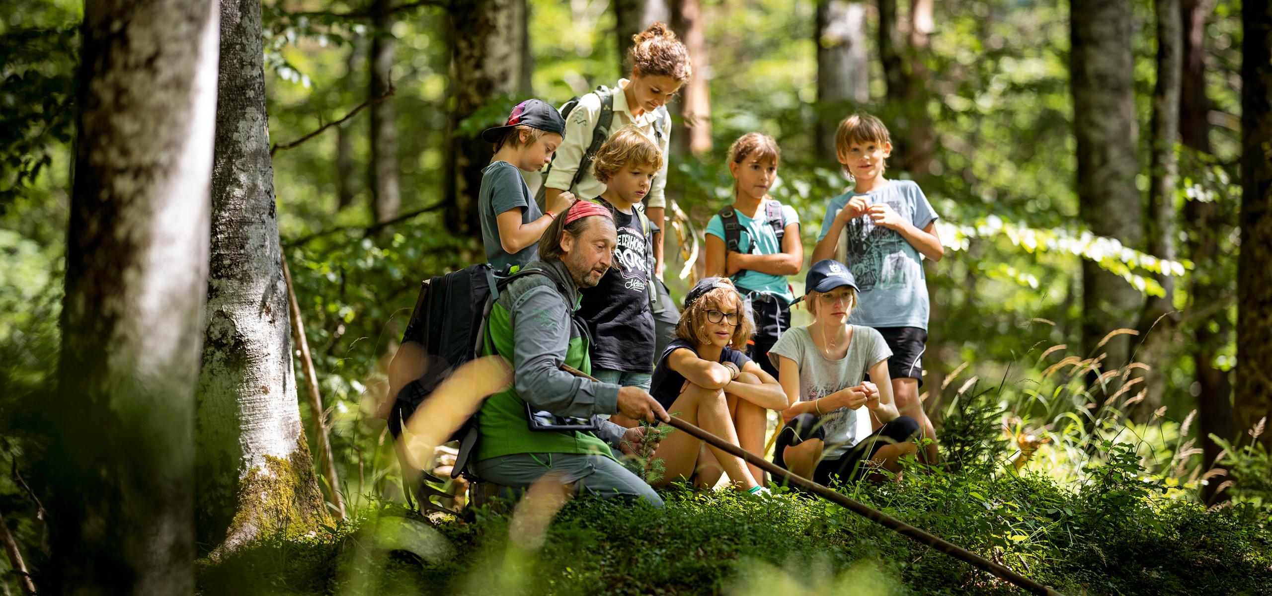 Nationalpark Rangerin und Ranger mit einer Gruppe Schulkinder im Wald