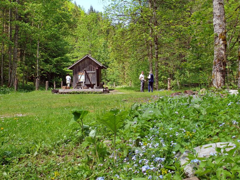 Biwakplatz mit Holzhütte, Lagerfeuerplatz und Sitzgelegenheit liegt mitten im Wald