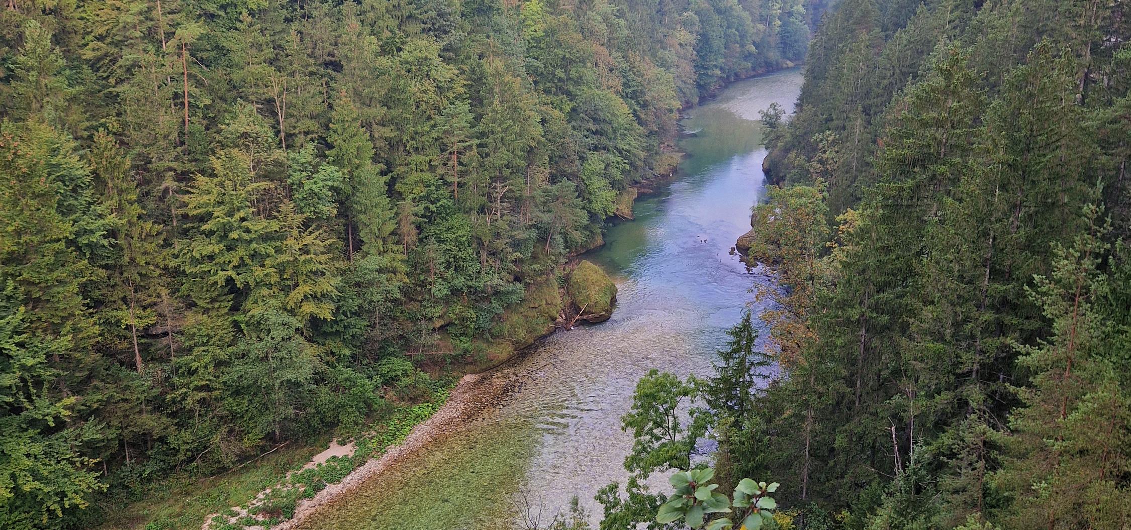 Der Steyr Fluss fließt durch eine mit Wald gesäumte Schlucht