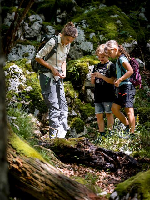 Nationalpark Rangerin und zwei Schulkinder betrachten einen liegenden Totholzstamm