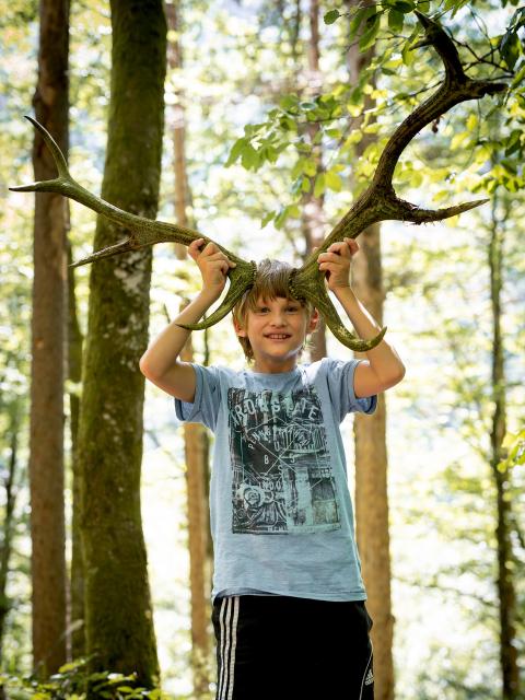 Ein Junge steht im Wald und hält sich ein Hirschgeweih an seinen Kopf