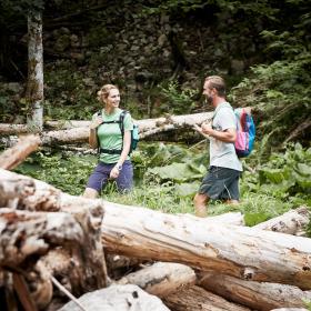 Eine Frau und ein Mann gehen durch einen Wald mit umgestürzten Baumstämmen