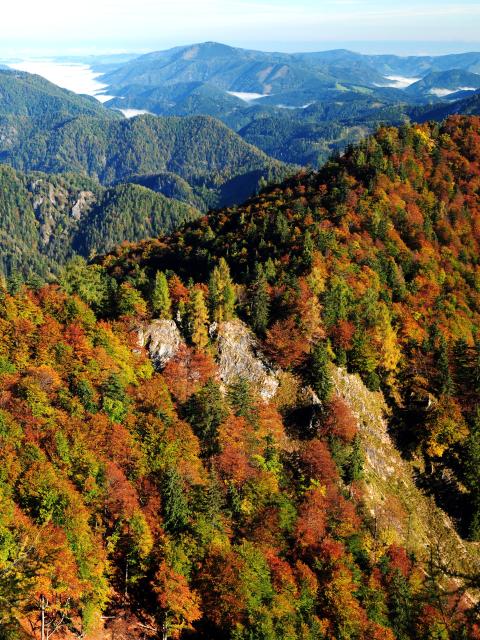 Blick über herbstlich gefärbte Bergwälder