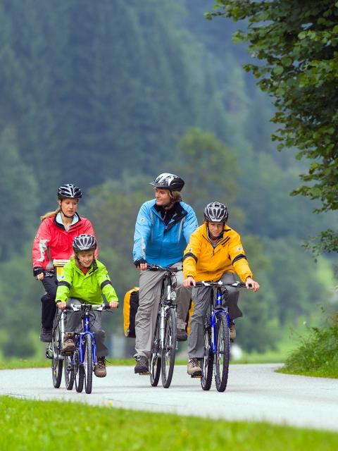 Eine Familie mit zwei Kindern fährt auf Rädern durch eine grüne Landschaft