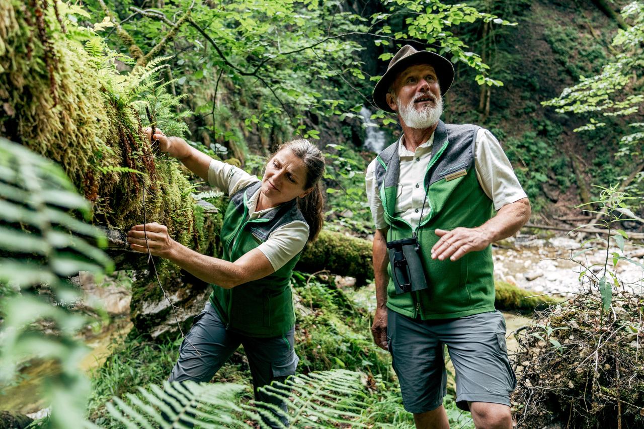 Eine Nationalpark Rangerin und ein Ranger zeigen vielfältigen Pflanzenbewuchs auf Totholzstamm