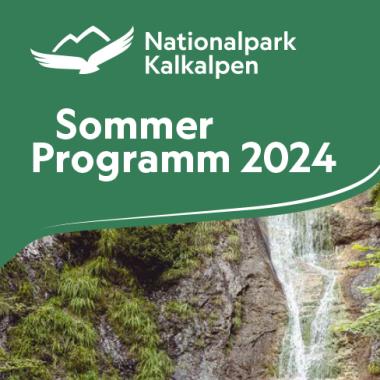 Folder mit den geführten Ranger Touren des Nationalpark Kalkalpen im Jahr 2024.