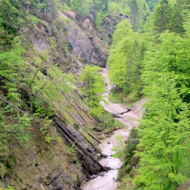 Frühlingsgrüner Buchenwald in tiefer Schlucht, an deren Grund fließt Gebirgsbach