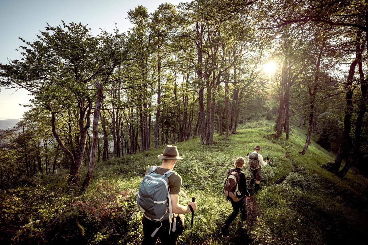 Nationalpark Ranger wandert mit zwei Erwachsenen über einen bewaldeten Bergrücken