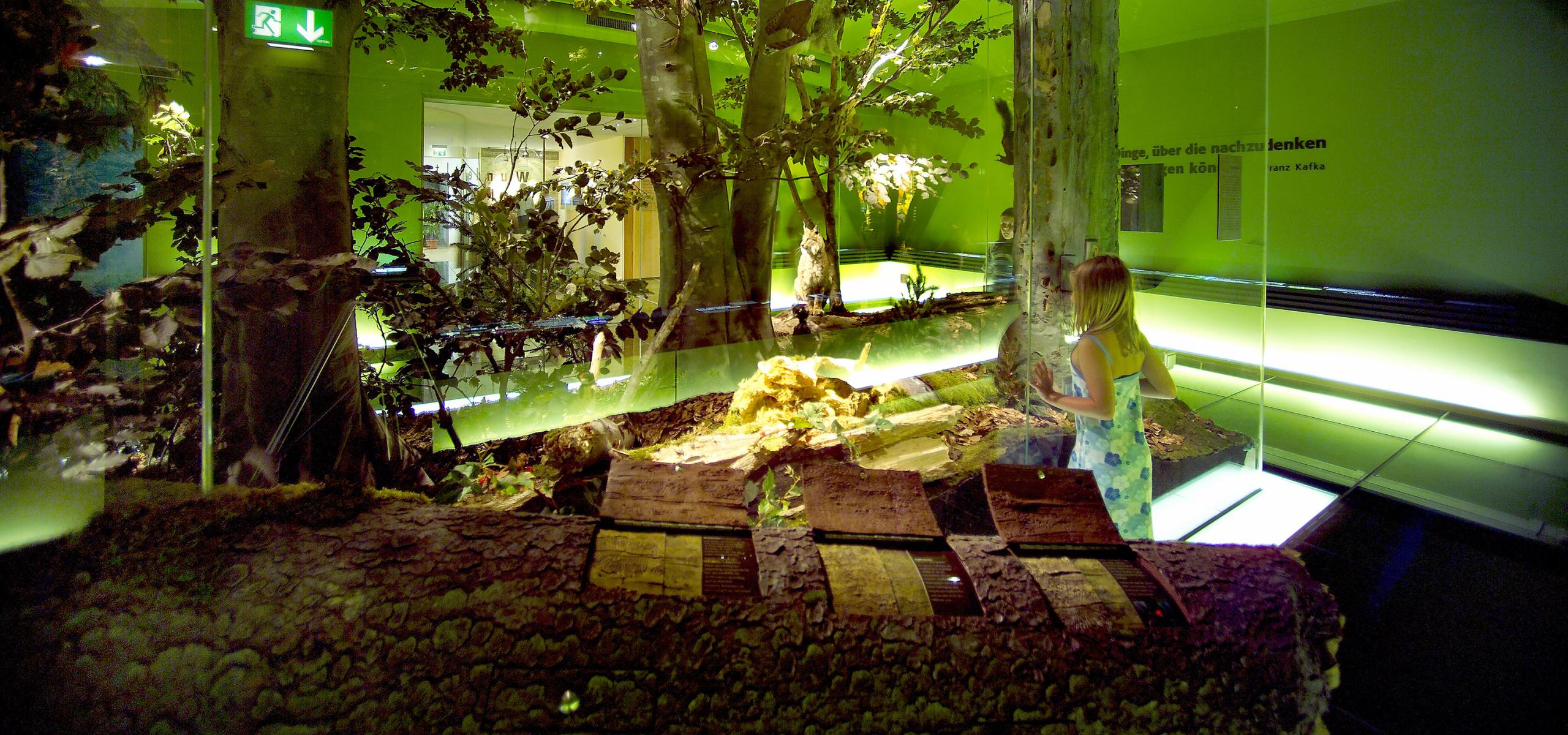 Ausstellung zeigt eine Waldwildnis mit ihren Bewohnern