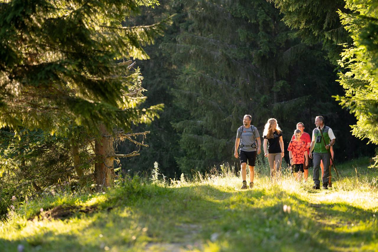 Ranger begleitet eine Familie mit zwei Kindern auf Waldweg