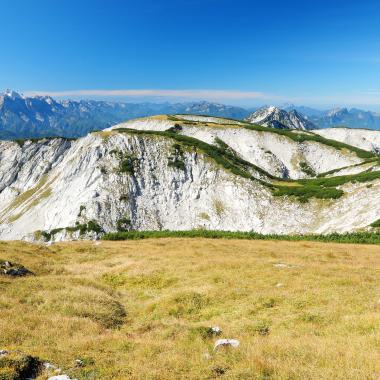 Alpine Grasmatten am Plateau des Hohen Nock, im Hintergrund das Tote Gebirge