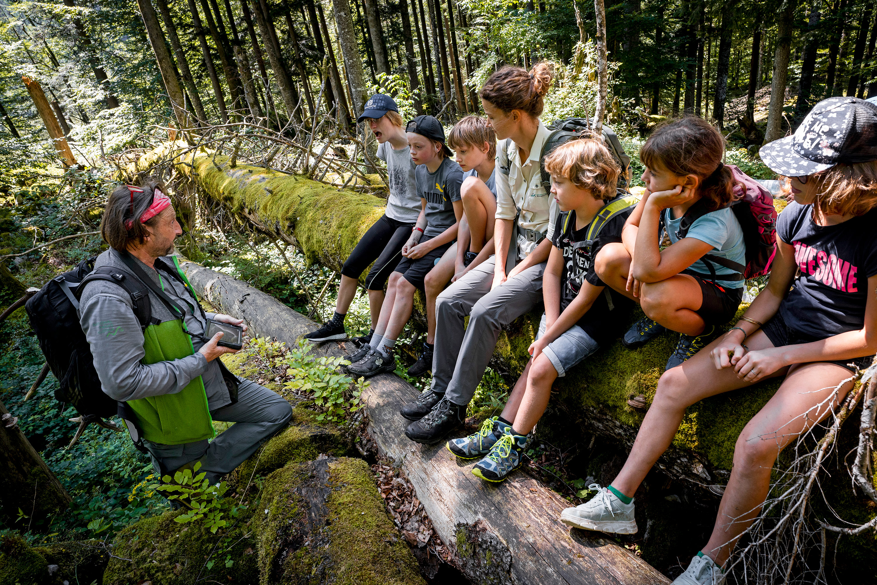 Schulkinder sitzen auf einem bemoosten Baumstamm im Wald und hören Nationalpark Ranger zu
